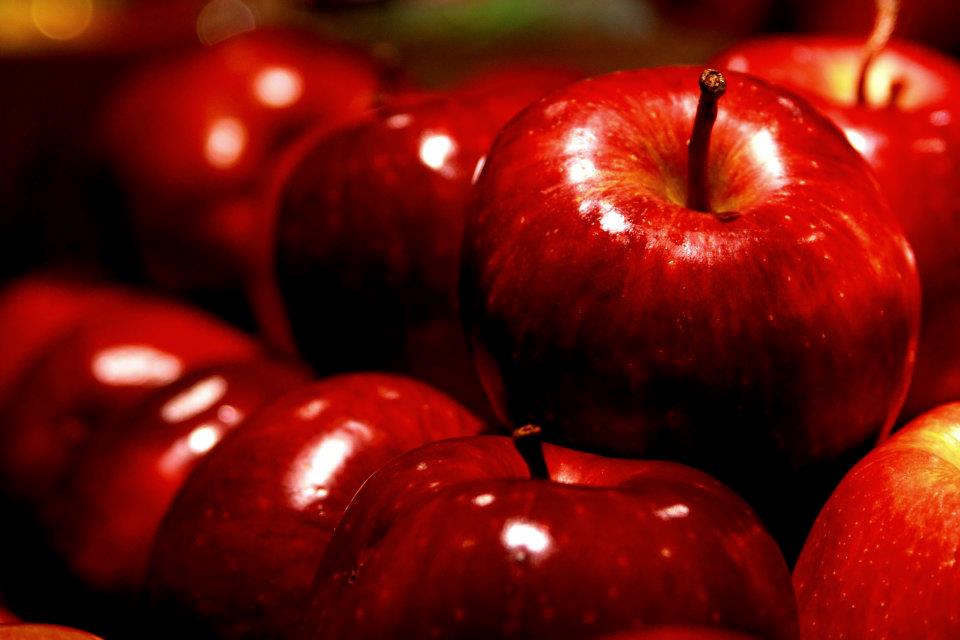 apple color theme apple color theme